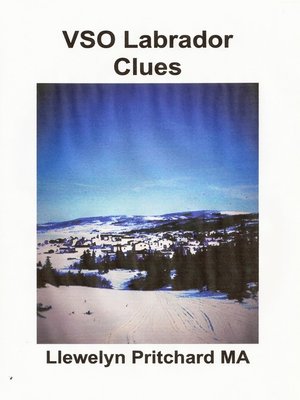 cover image of VSO Labrador Clues
